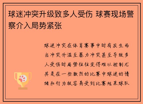 球迷冲突升级致多人受伤 球赛现场警察介入局势紧张